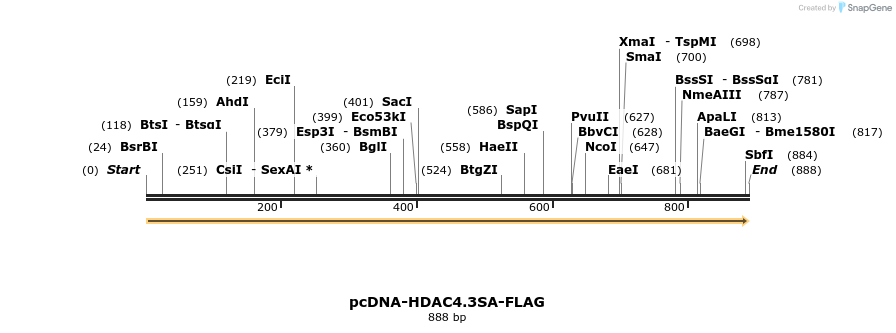 36735_map