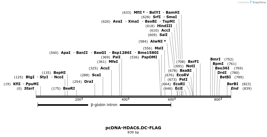 36737_map