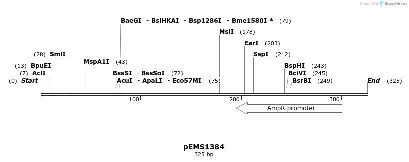 36741_map