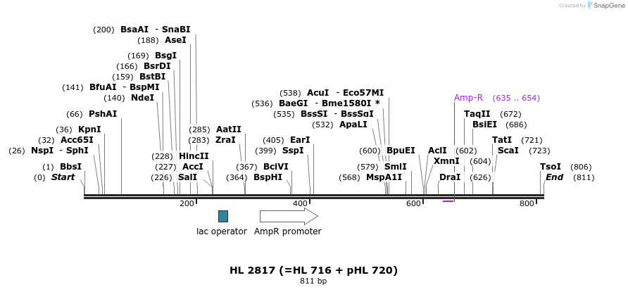 36742_map
