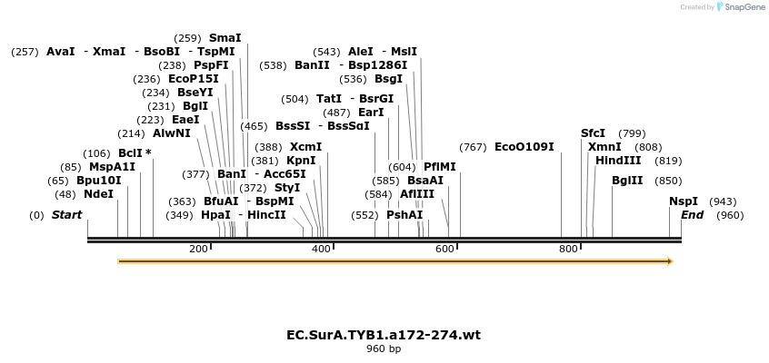 36747_map