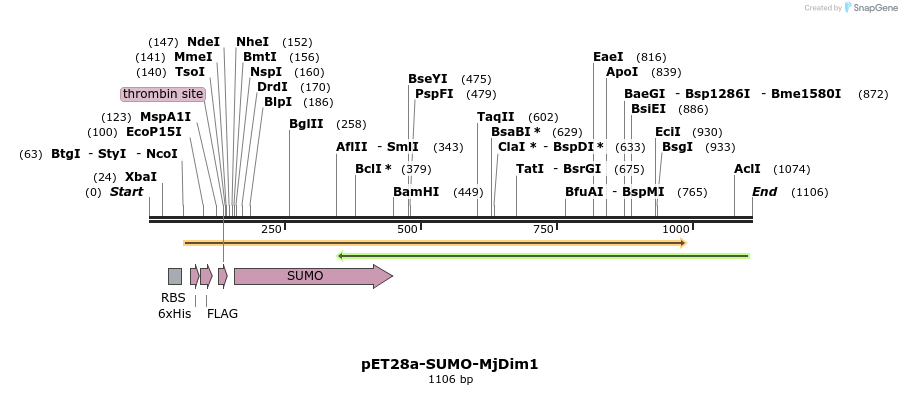 367481_map