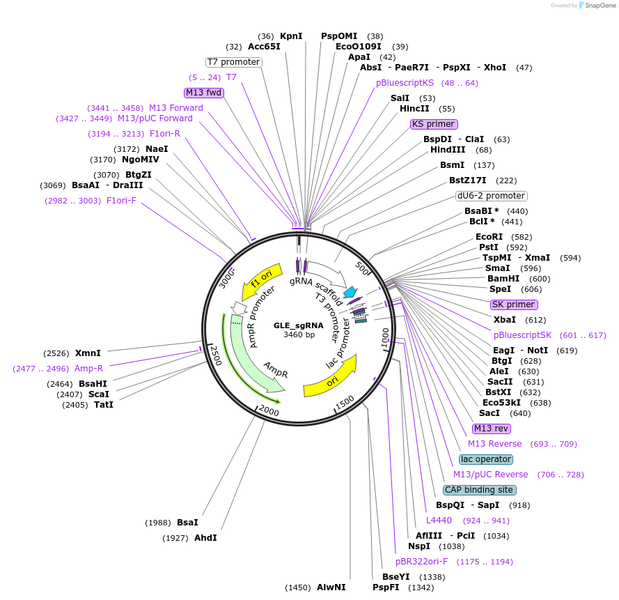 367529_map