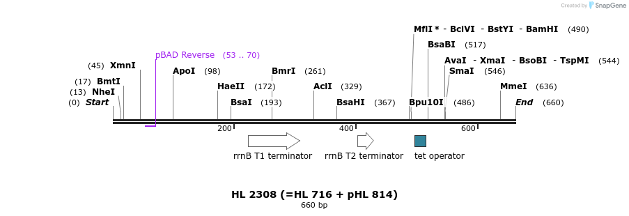 36753_map