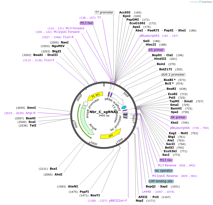367530_map