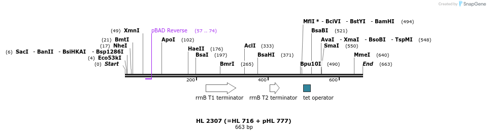 36756_map