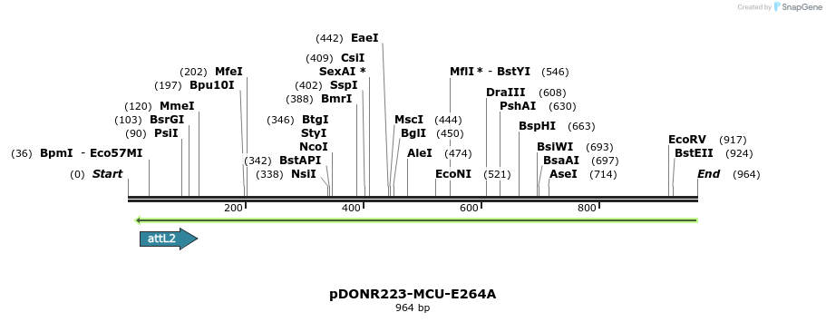 36758_map