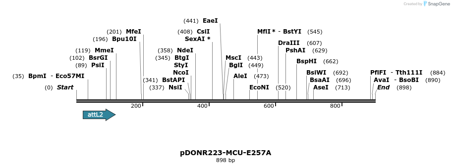 36761_map