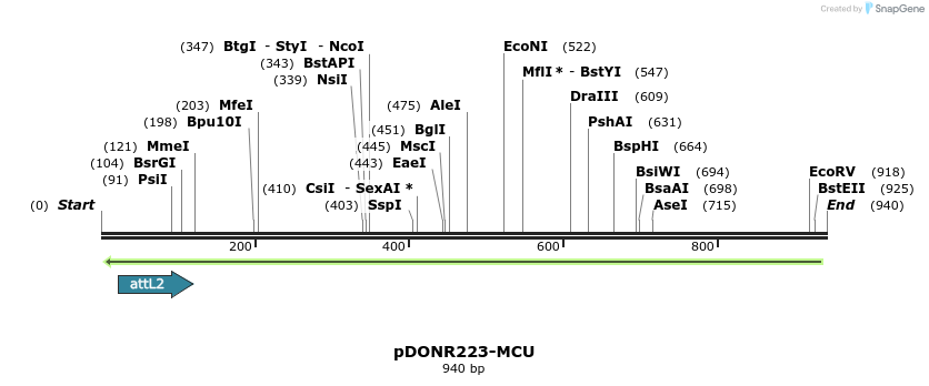 36762_map