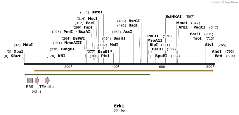 36773_map