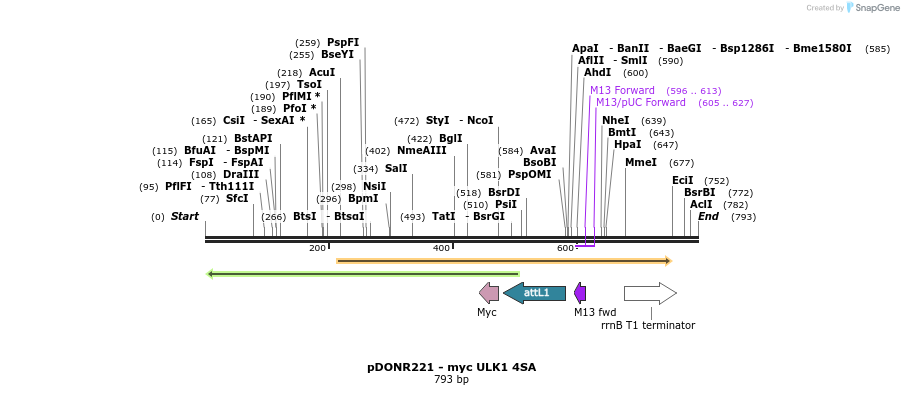 36775_map