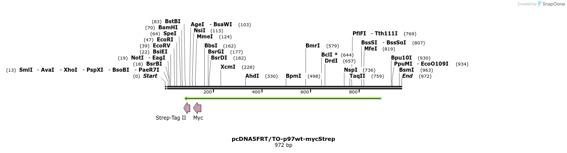 36783_map