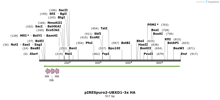 36784_map
