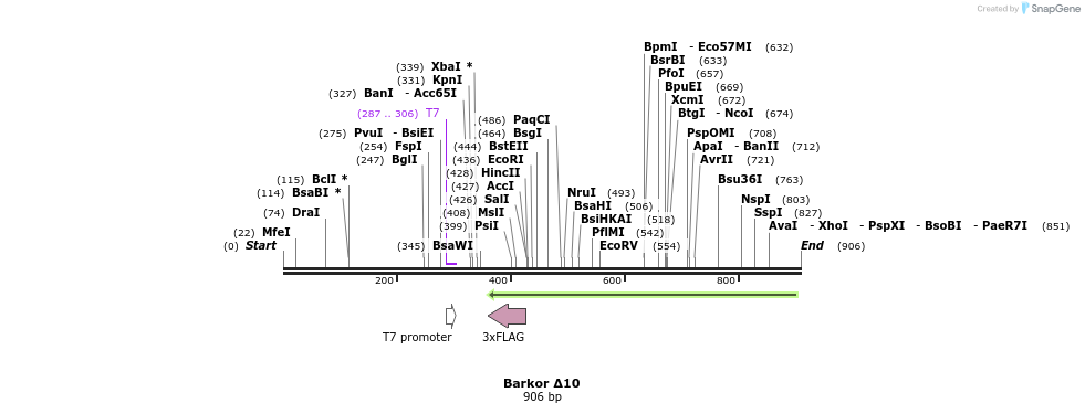 36790_map