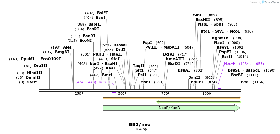 368_map