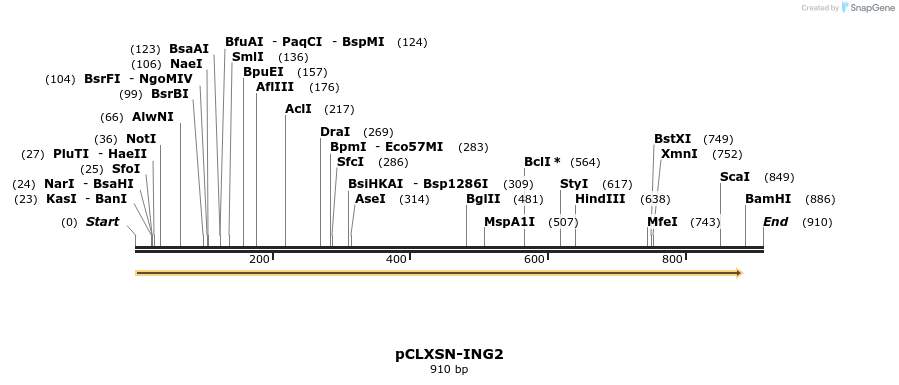 36802_map