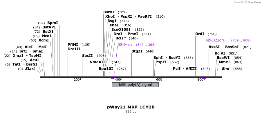 36804_map