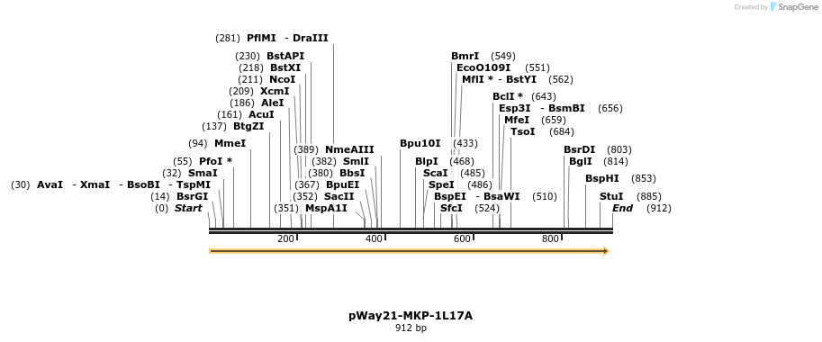 36807_map