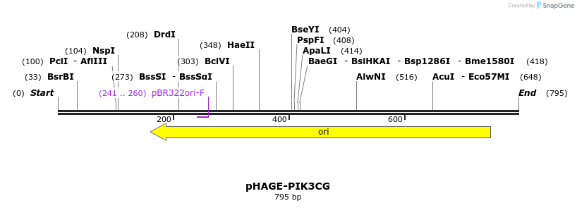 368113_map