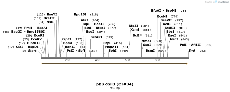 36812_map