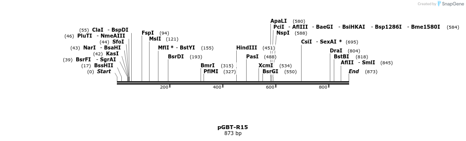 36813_map
