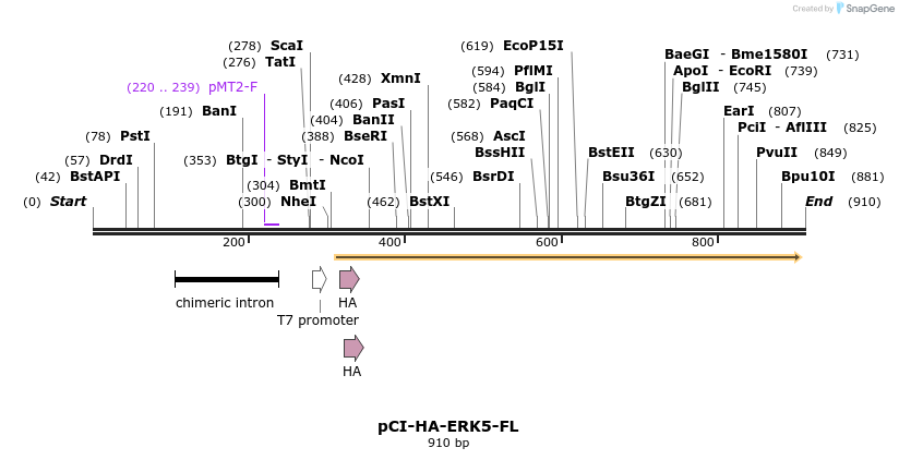36818_map