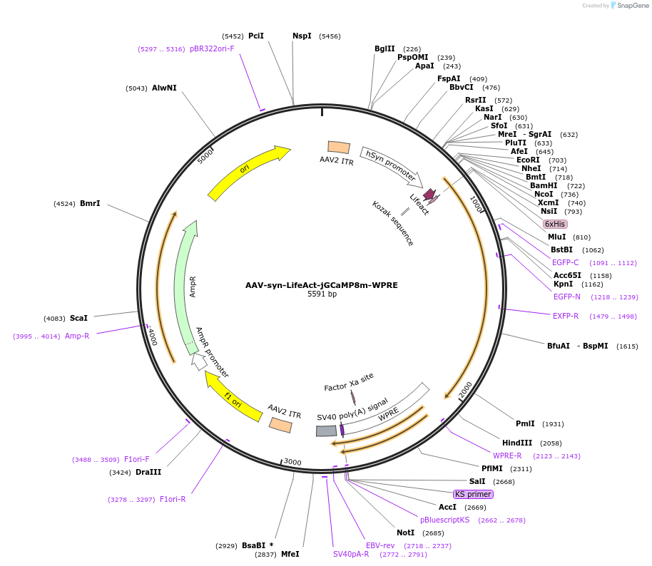 368190_map