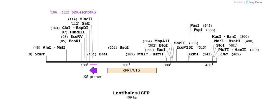 36826_map