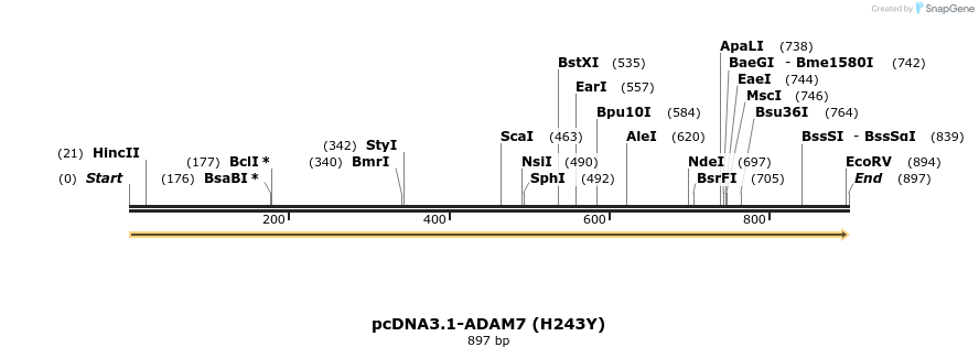 36829_map