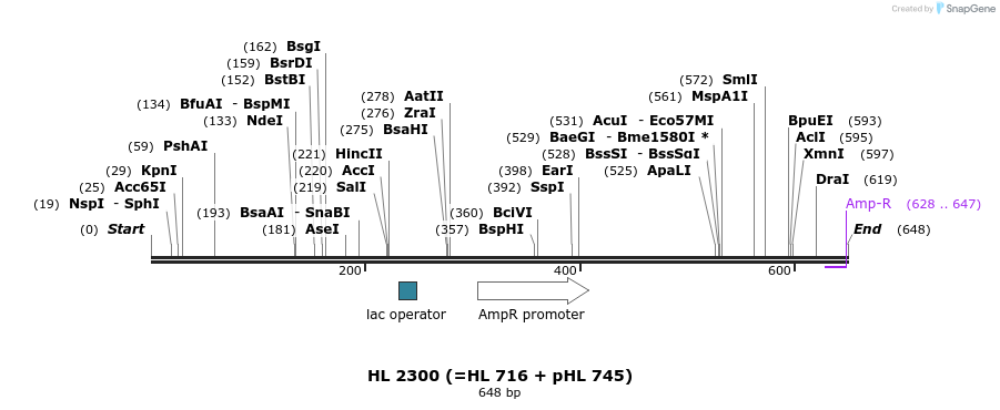 36831_map