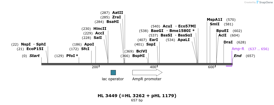 36840_map