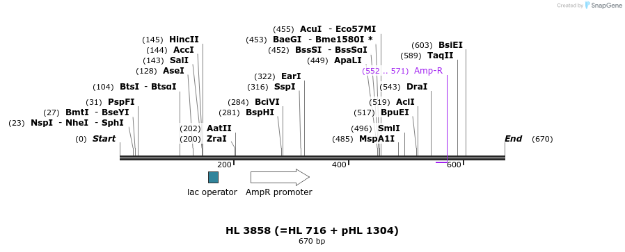 36846_map