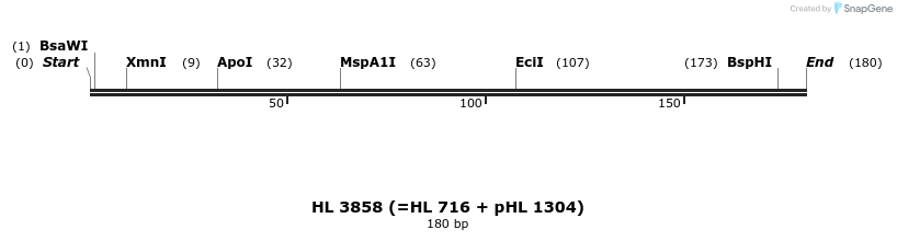 36848_map