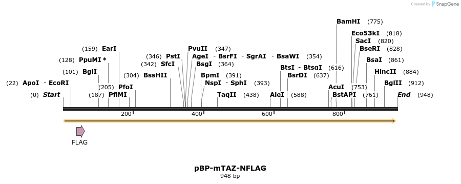 36861_map