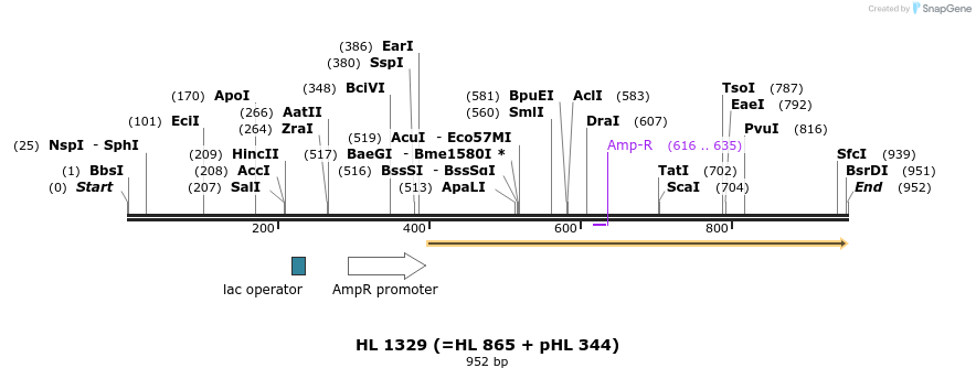 36864_map