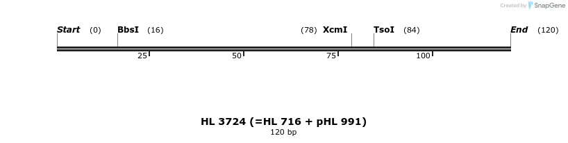 36867_map