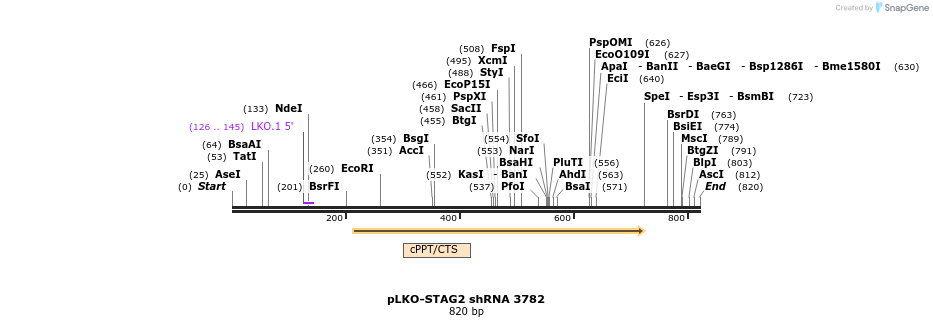 36899_map
