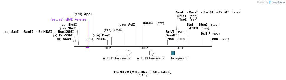 36904_map