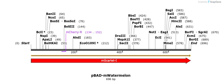 369071_map