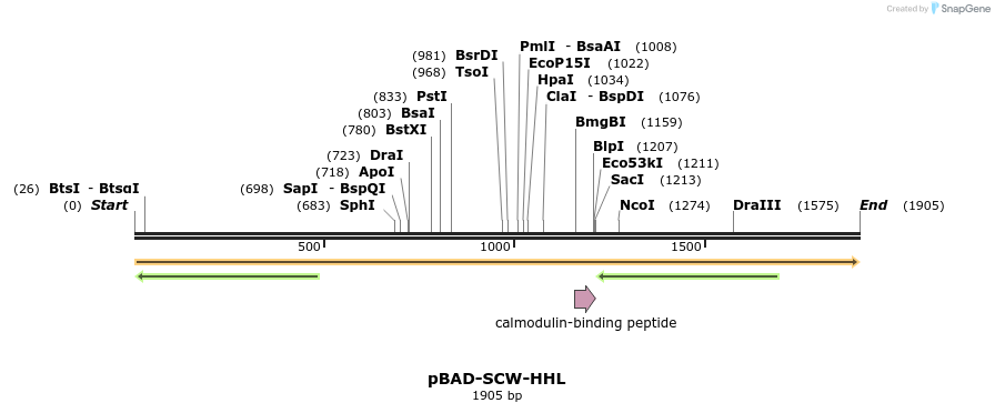 369074_map