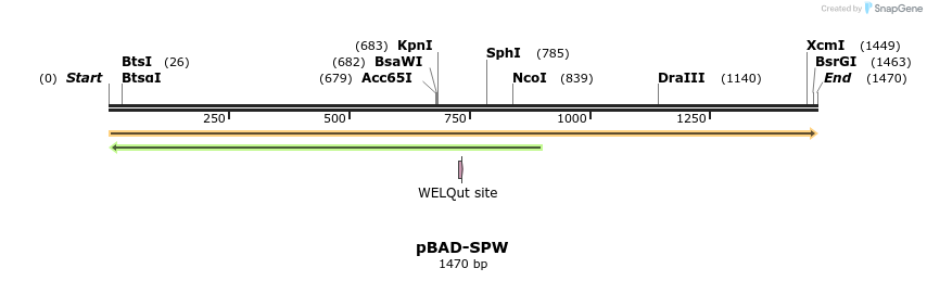 369075_map