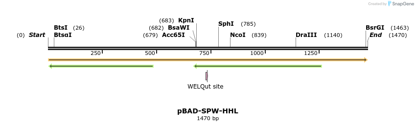 369076_map