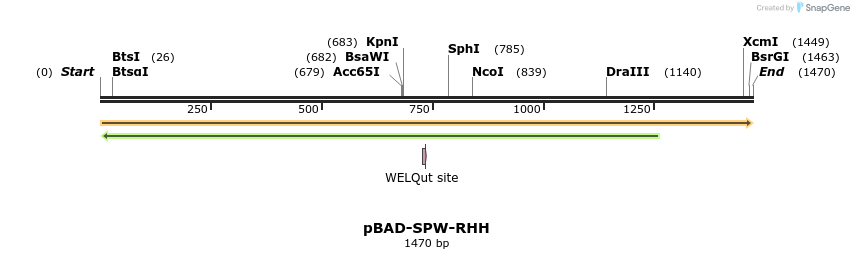 369077_map