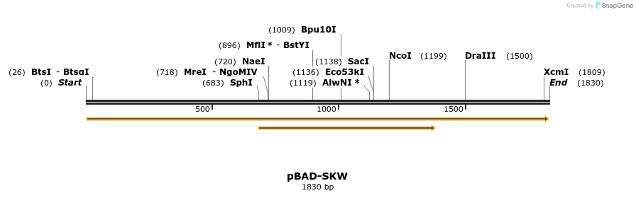 369078_map