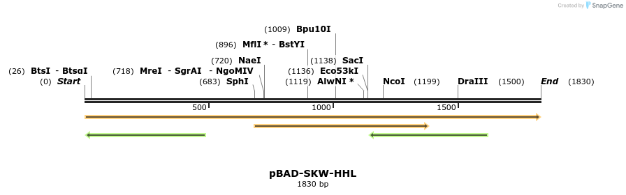 369079_map