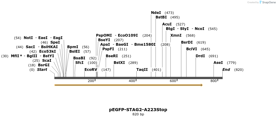 36908_map