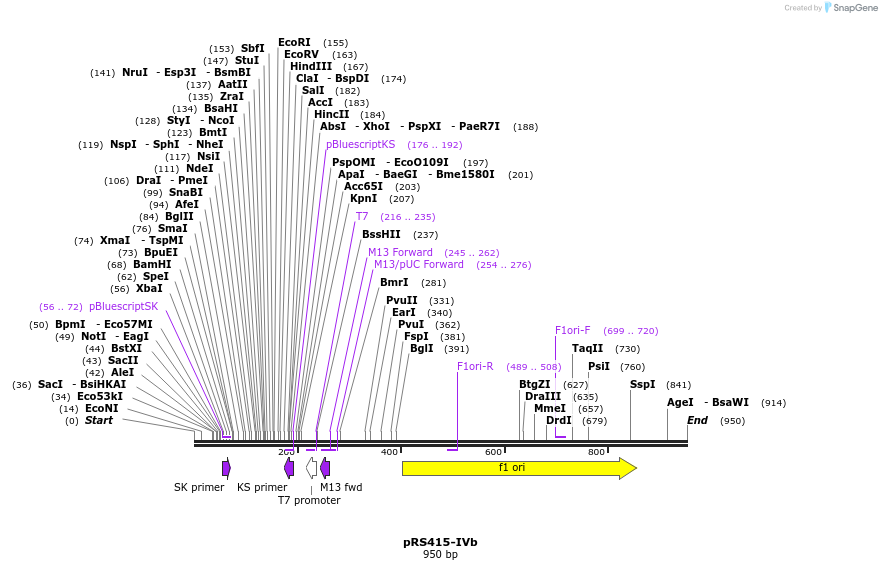 36909_map