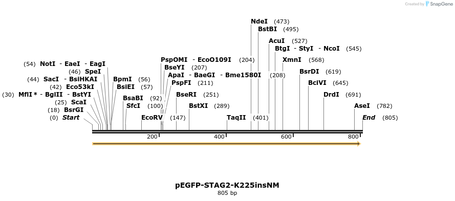 36910_map