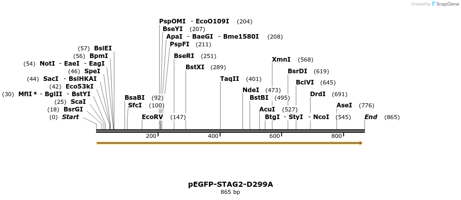 36912_map