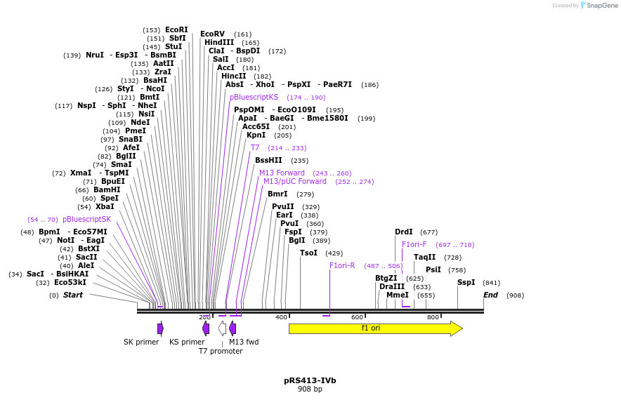 36913_map